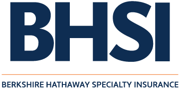 BHSI Logo