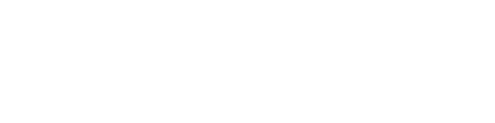 Infinera Logo Light
