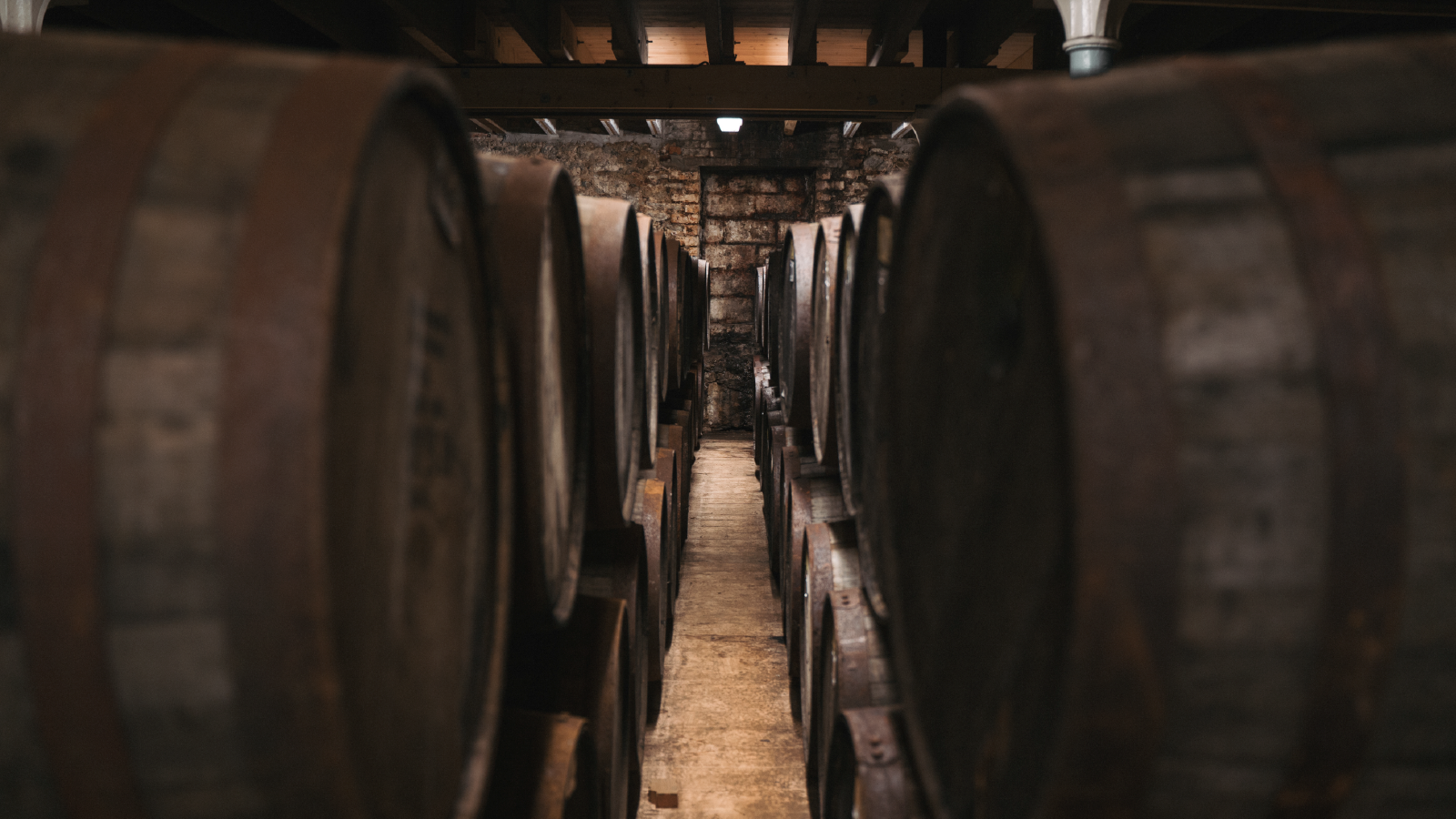 A dimly lit whiskey aging cellar with rows of large wooden barrels stacked on both sides of a narrow aisle.