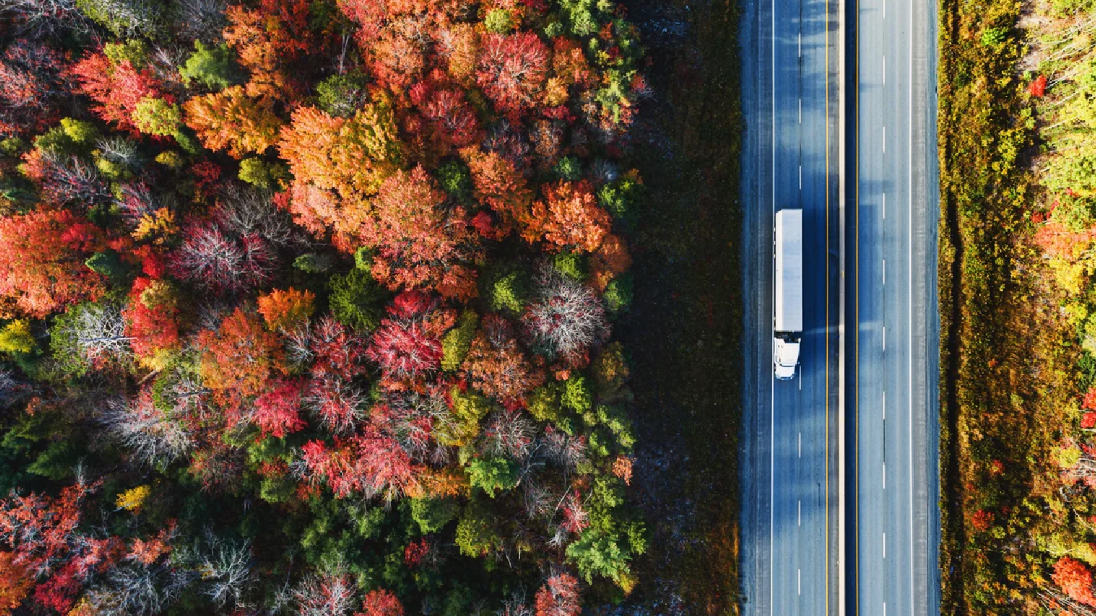 Aerial view of a highway cutting through a forest of vibrant autumn foliage, with a white semi-truck driving along the road.