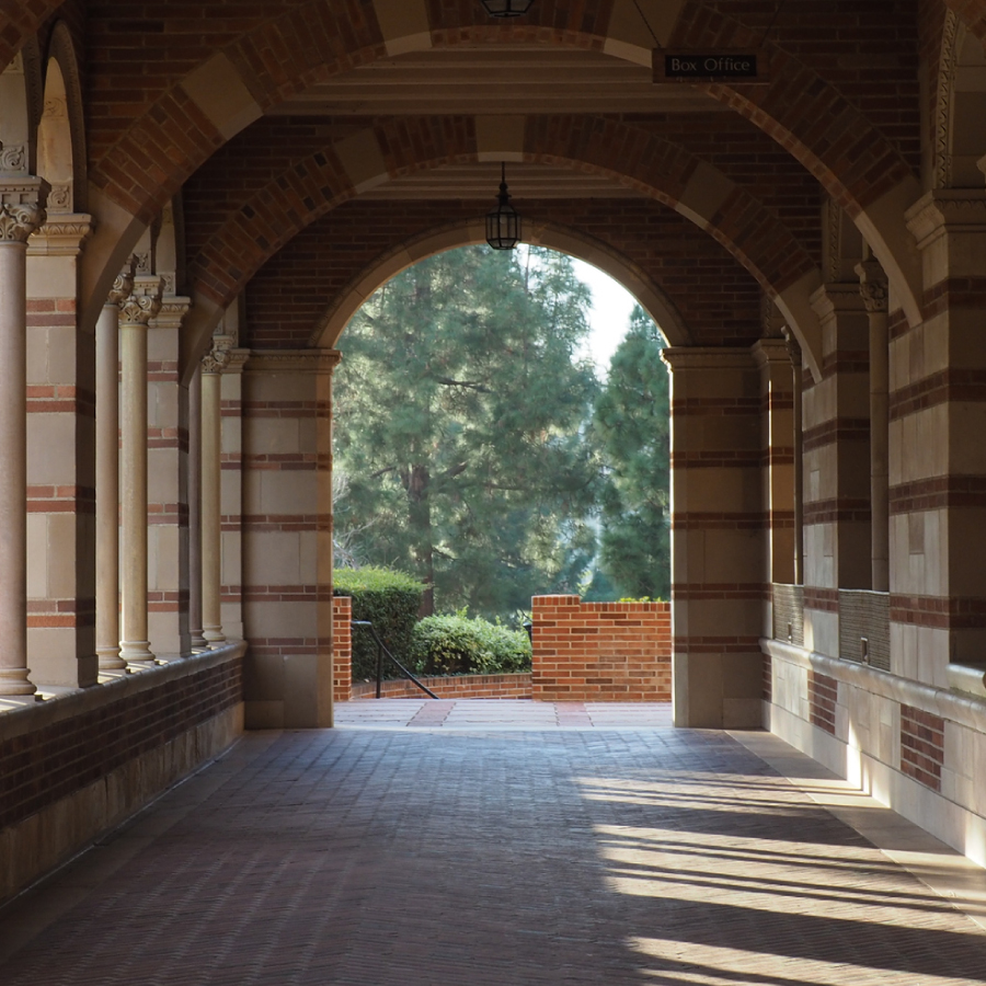 A picturesque brick walkway lined with greenery, leading through a serene outdoor space, enhancing the natural beauty.