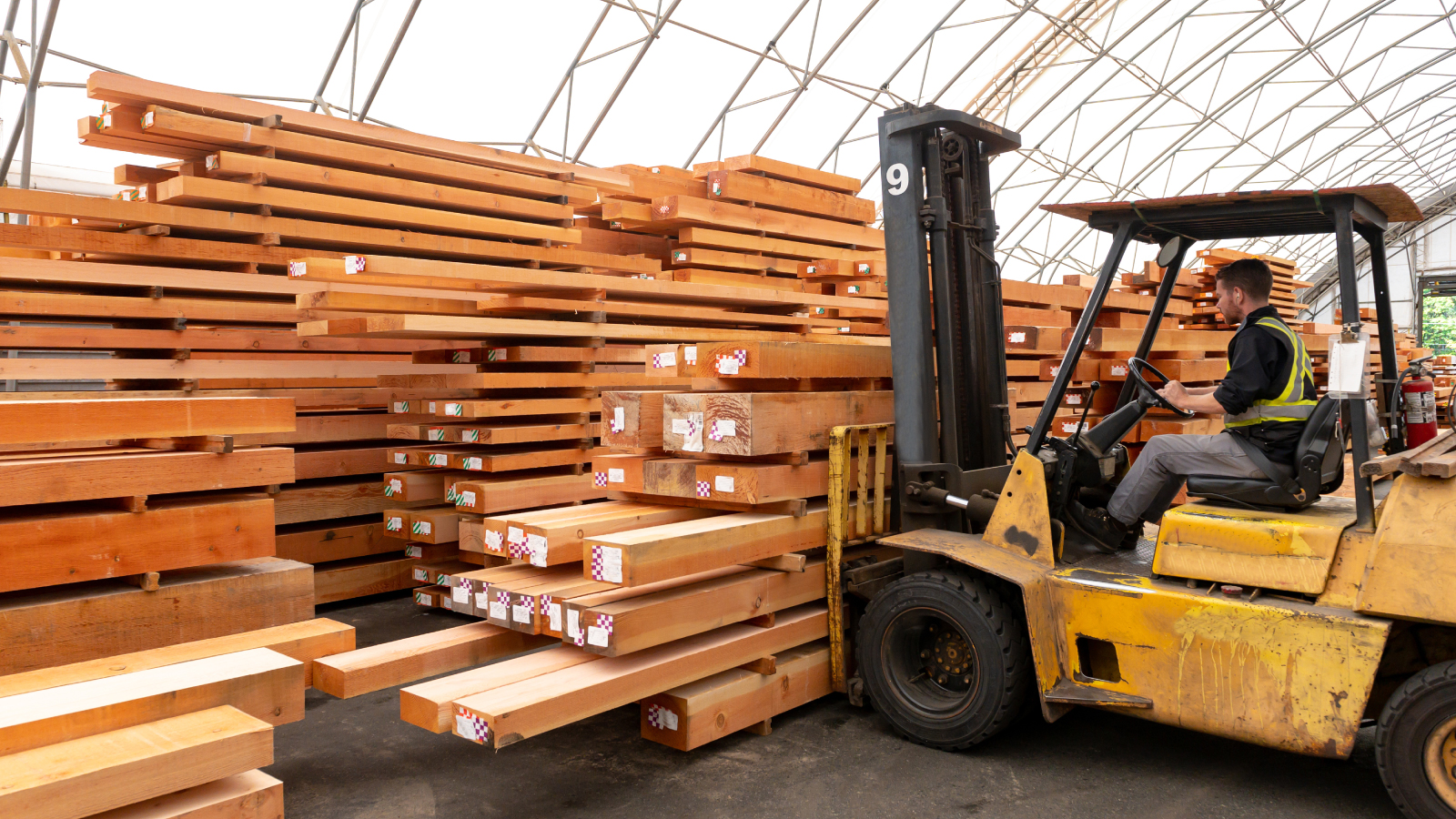 Person working in a lumberyard