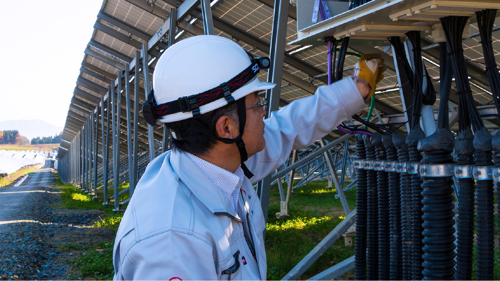 Vena Energy Employee